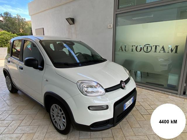 FIAT Panda 1.0 FireFly S&S Hybrid Pandina