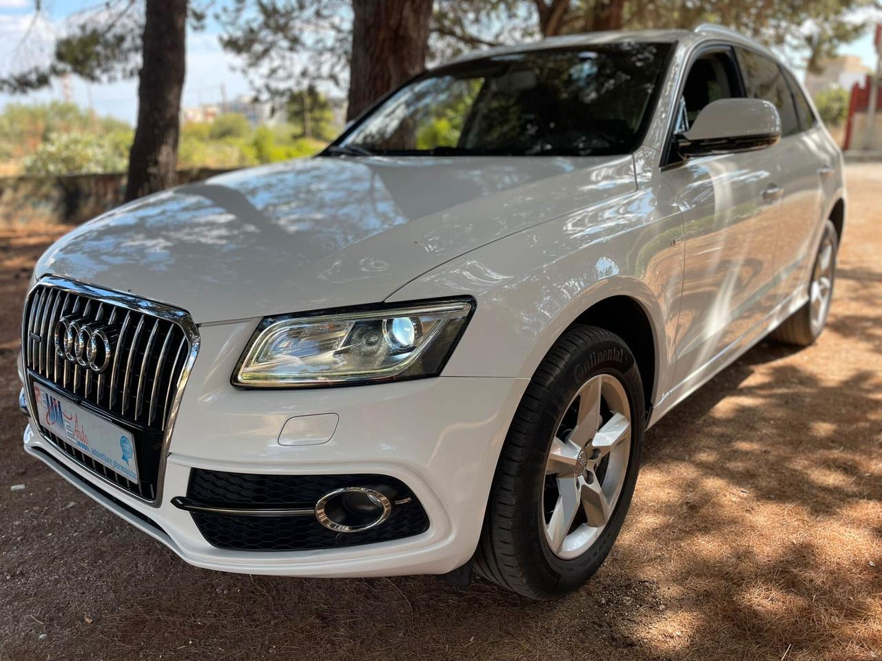Audi Q5 2.0 TDI 190 CV S tronic Advanced Plus