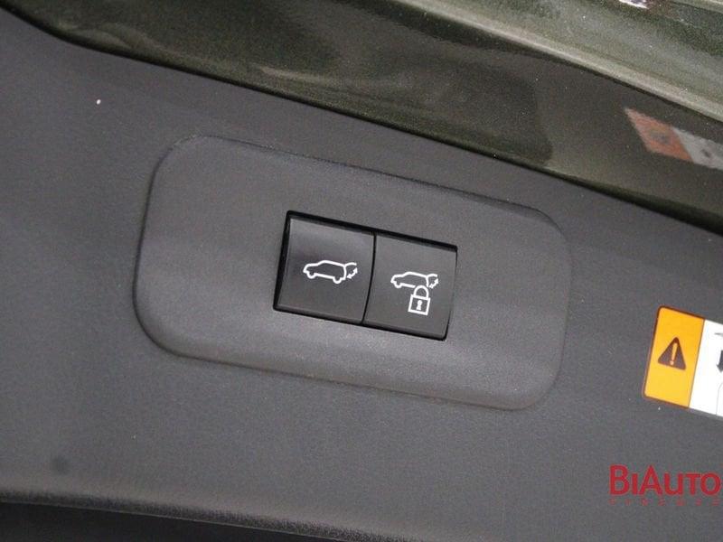 Lexus NX NX Hybrid 4WD Luxury