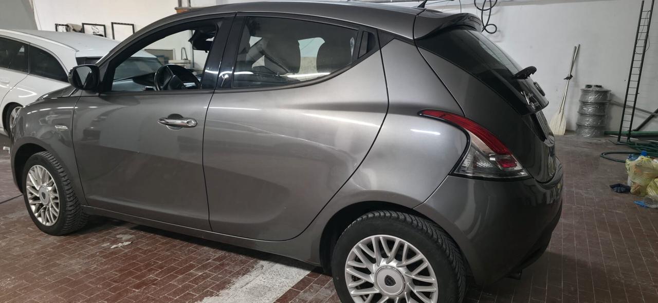 Lancia Ypsilon 1.3 MJT 16V 95 CV 5 porte S&S Platinum