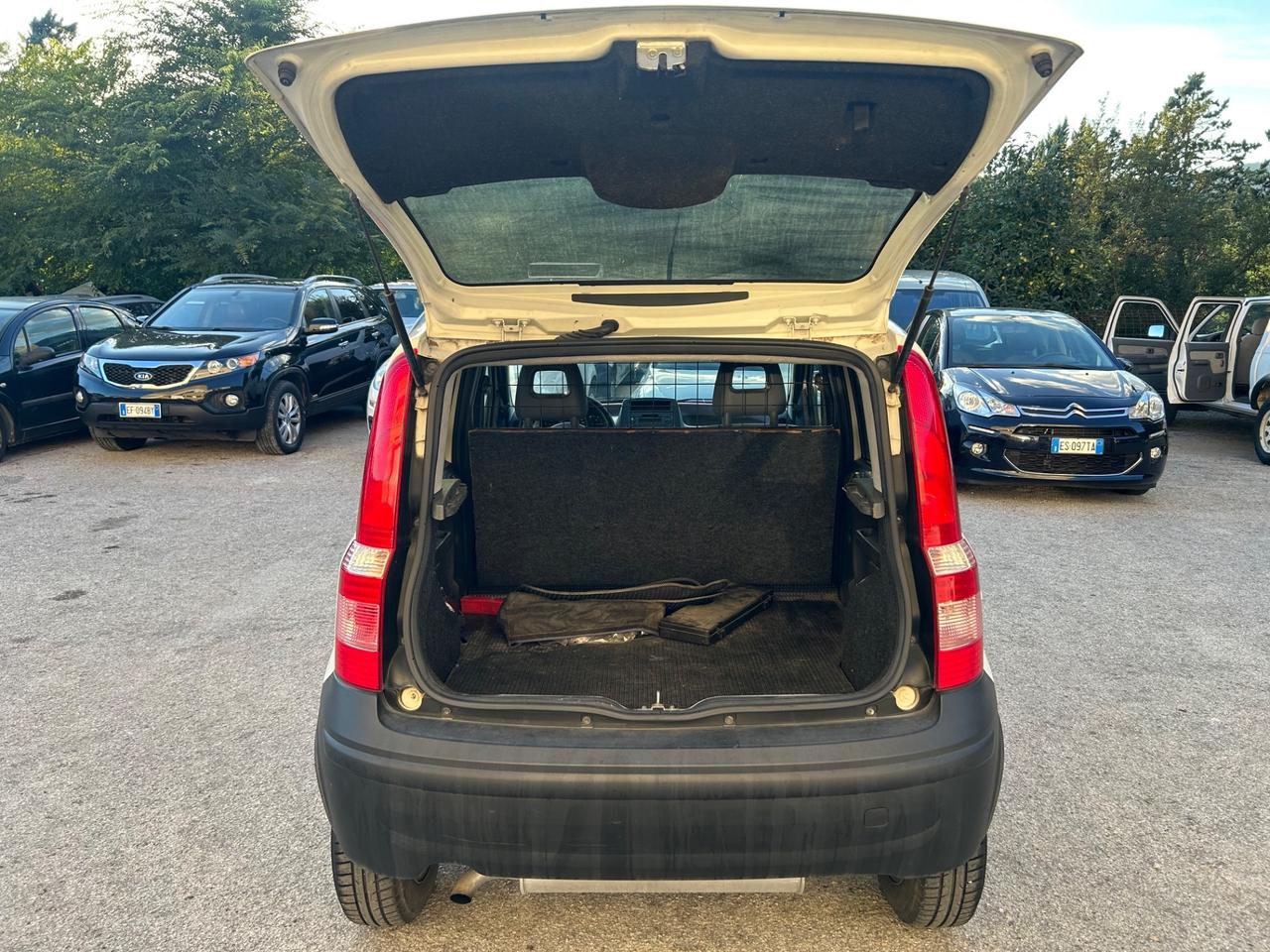 Fiat Panda 1.3 MJT 4x4 Van Active 2 posti