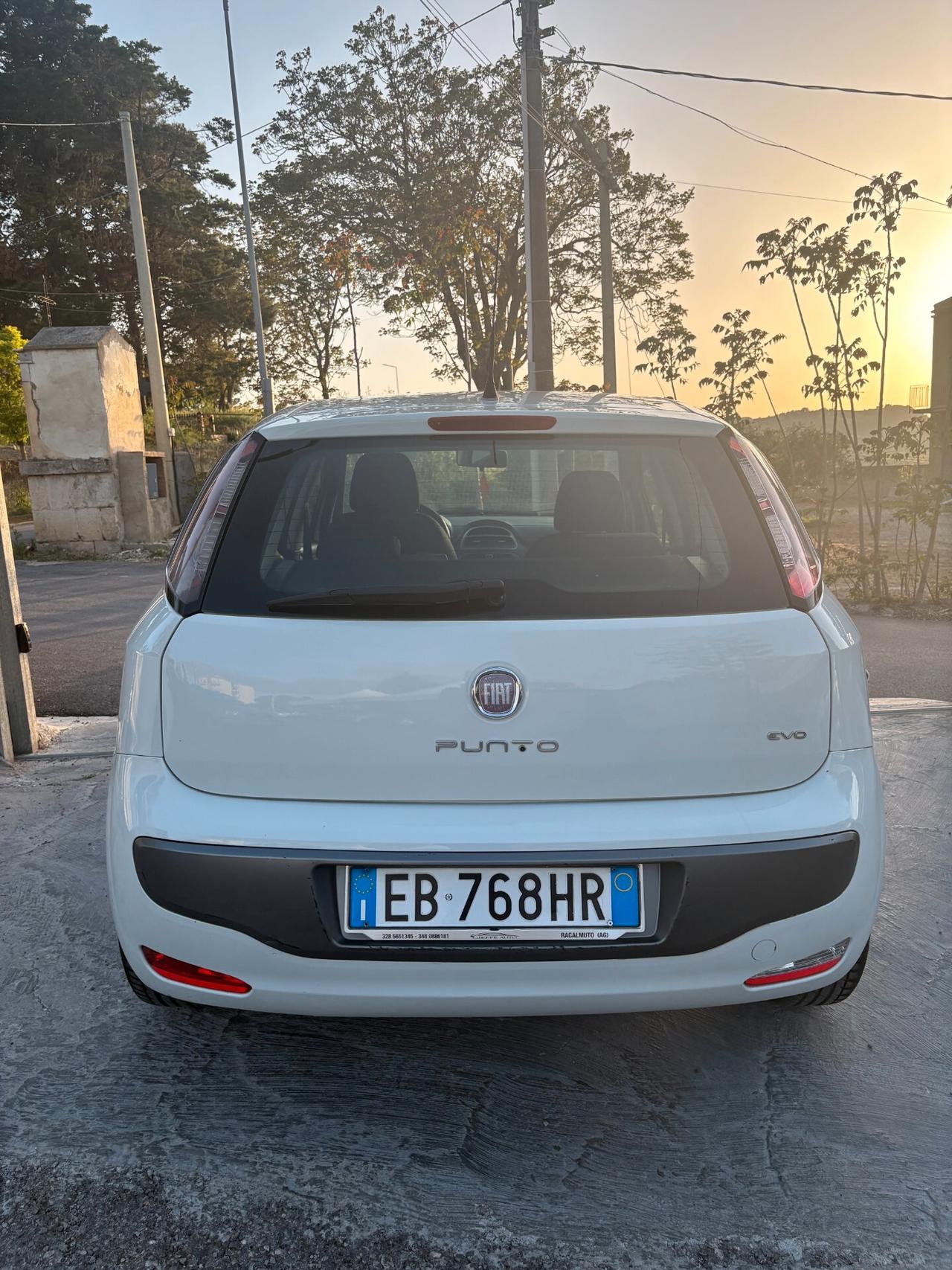 Fiat Punto Evo 1.3 Mjt 75 CV 5 porte Dynamic