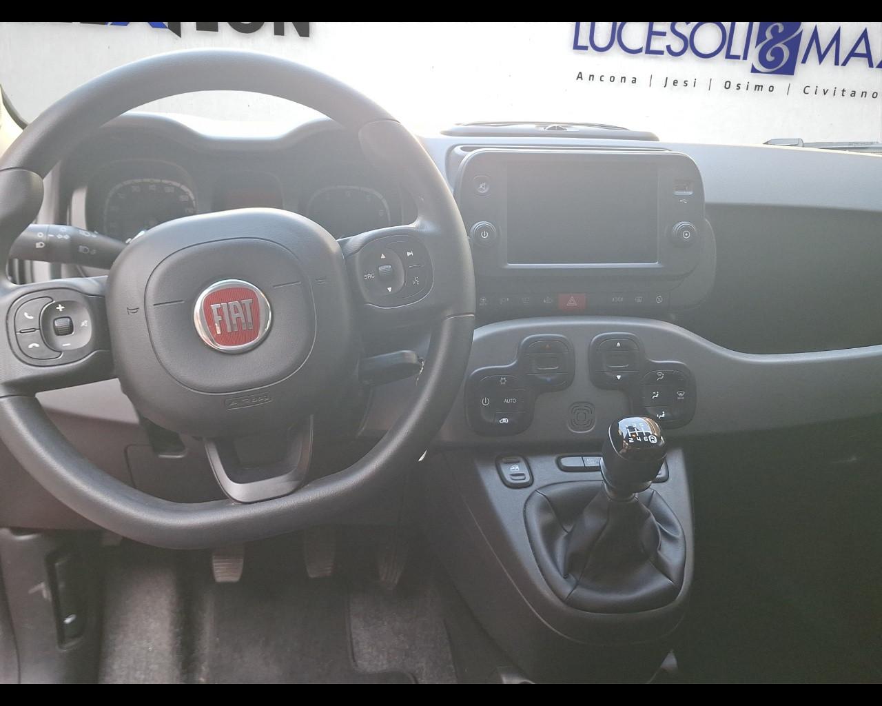 FIAT Panda 3ª serie - Panda 1.0 FireFly S&S Hybrid City Cross