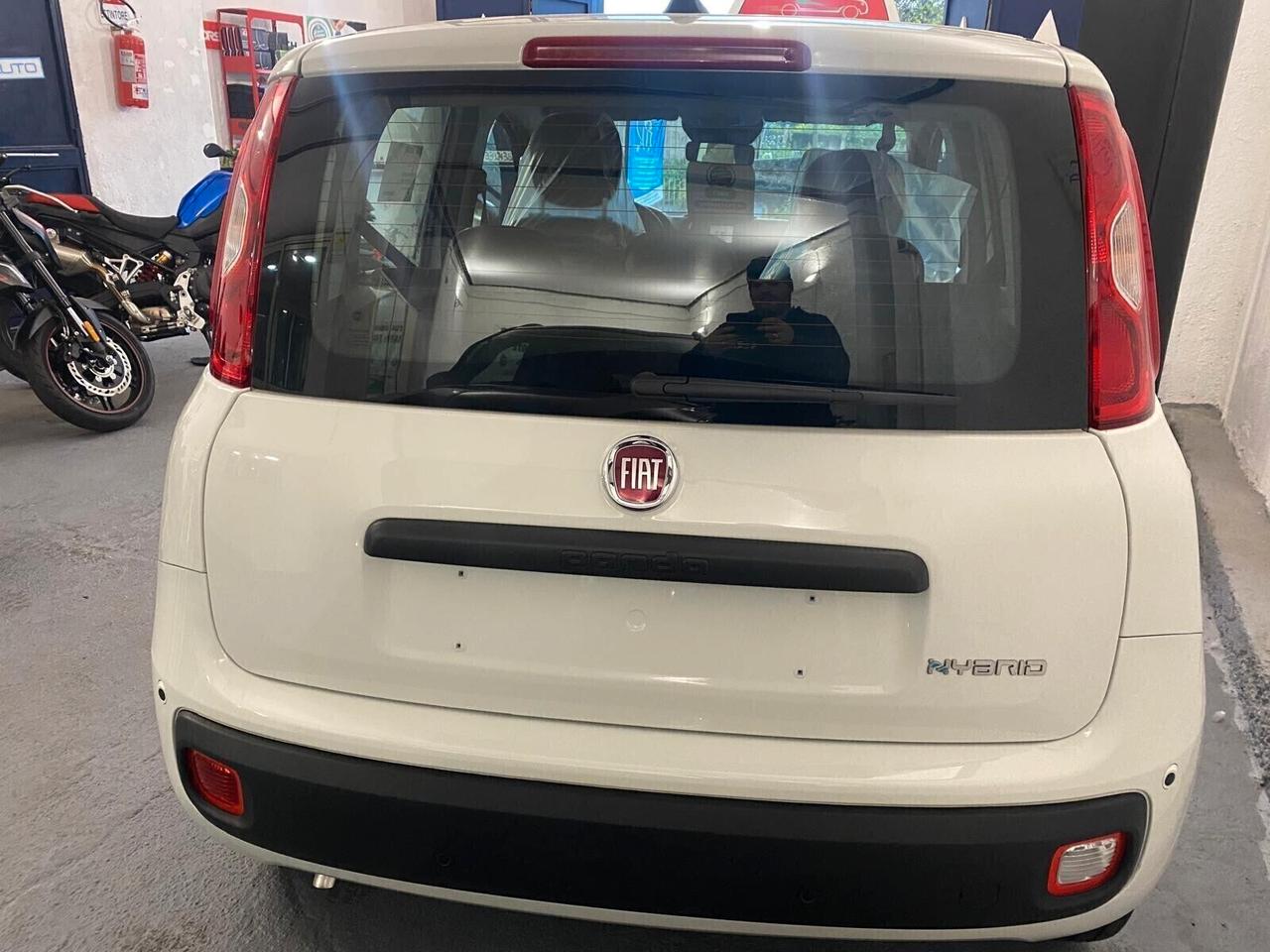 FIAT PANDA MY25 1.0 70cv Hybrid PANDA