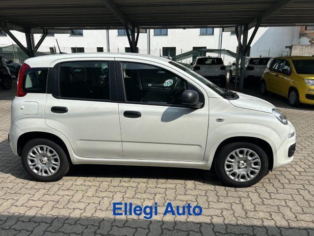 FIAT Panda PROMO FINANZ 1.0 HYBRID ICON KM 0