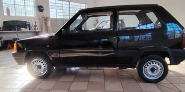 Fiat Panda 900 i.e. cat Young
