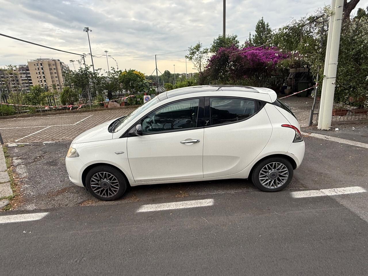 Lancia Ypsilon 0.9 TwinAir 85 CV 5 porte S&S DFN Platinum