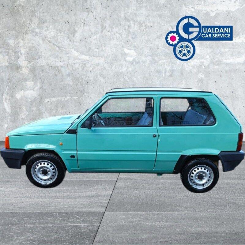 FIAT Panda 1100 i.e. cat Young