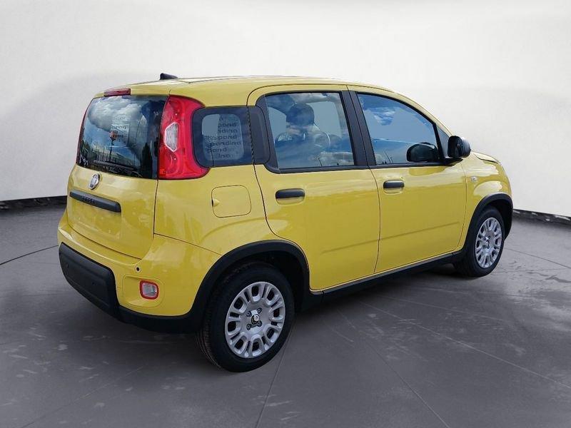 FIAT Panda NEW 1.0 70cv Hybrid Panda