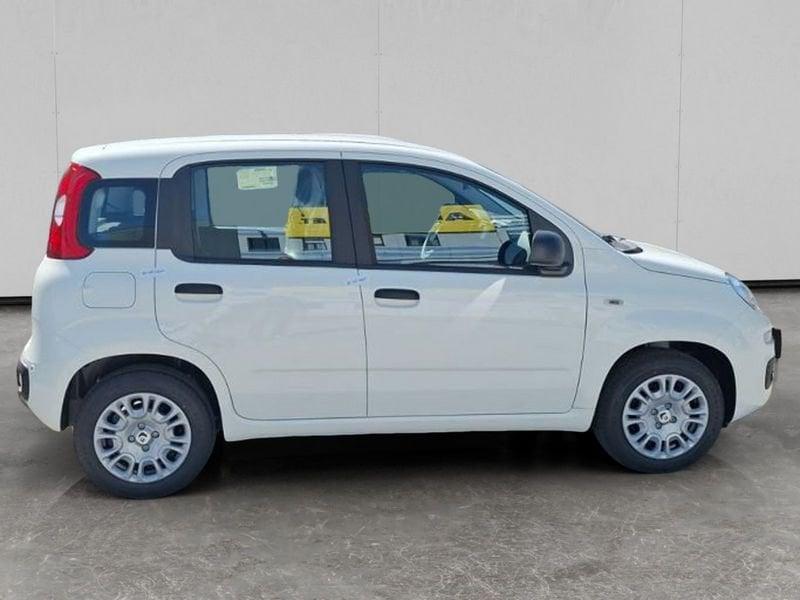 FIAT Pandina Cross 1.0 firefly hybrid s&s 70cv
