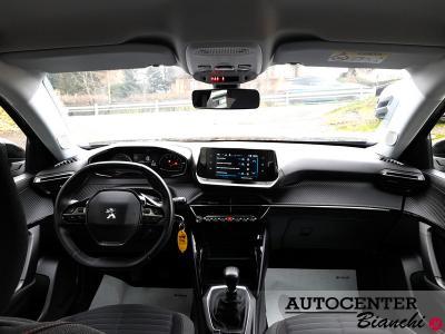 Peugeot 2008 1.5 bluehdi Active Pack s&s 110cv