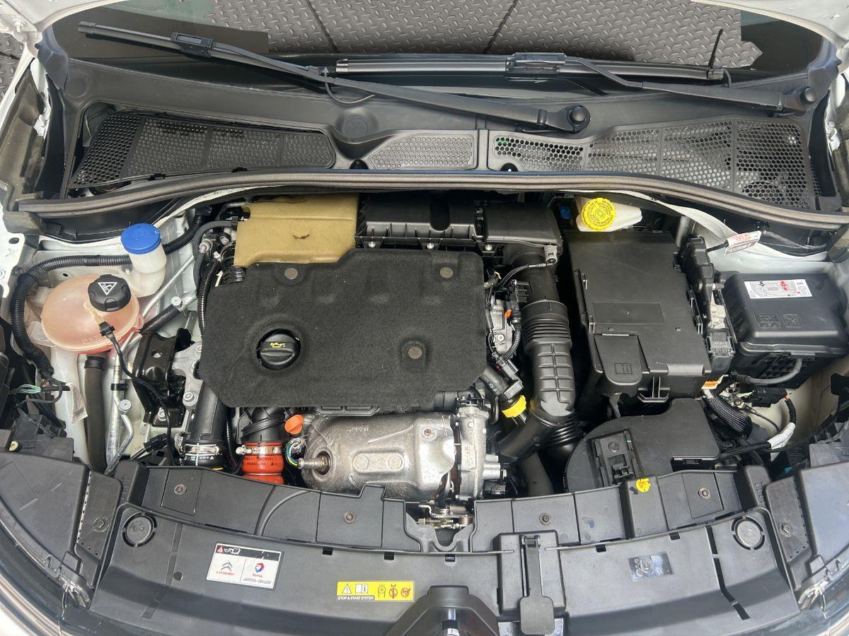 CITROEN - C4 Cactus - 1.5 BlueHDi 120 S&S EAT6 Shine