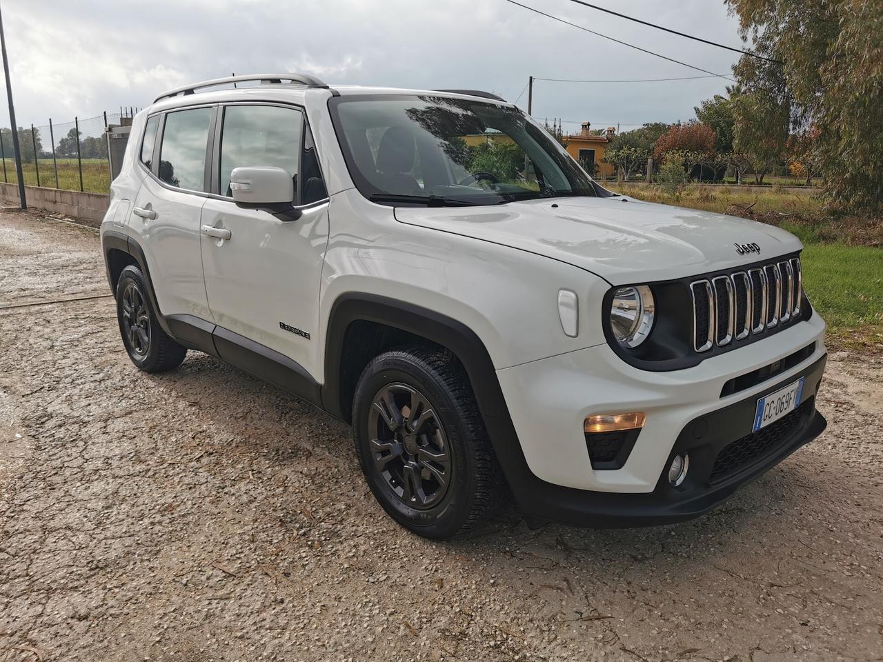 Jeep Renegade 1.6 Mjt 130 CV Longitude