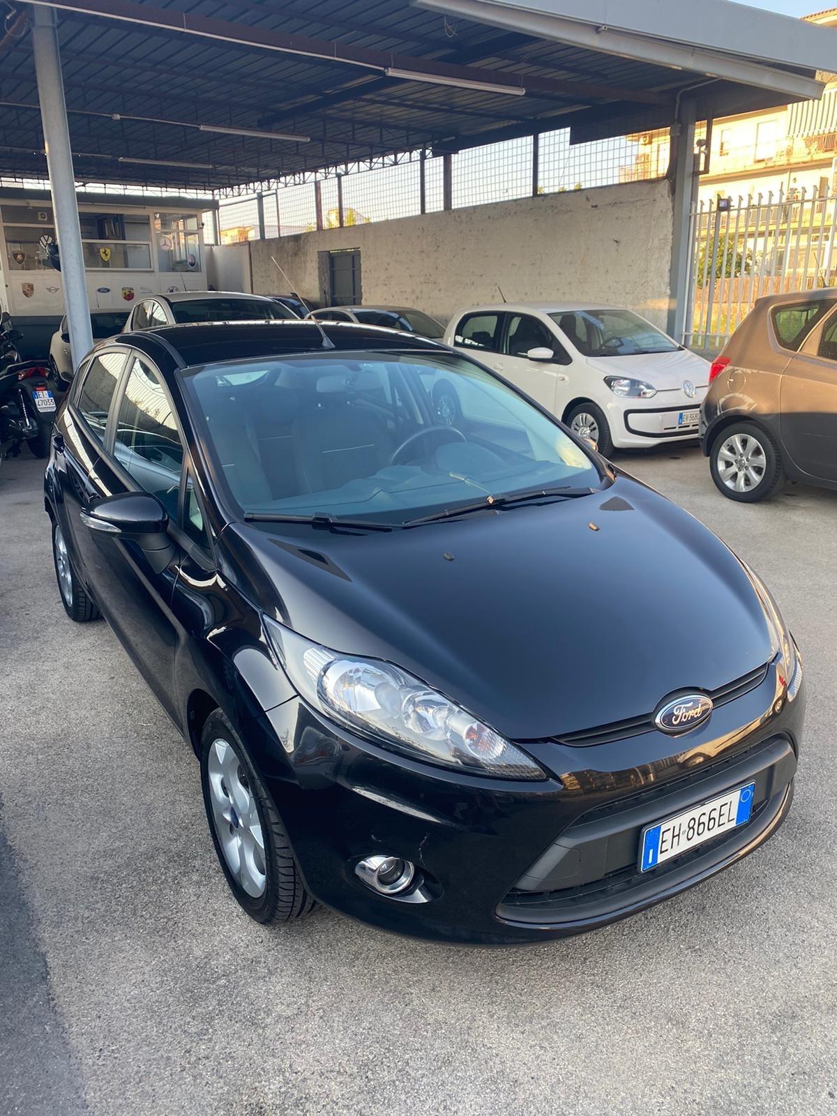 Ford Fiesta 1.4 TDCI Anno 2012 Tagliandata