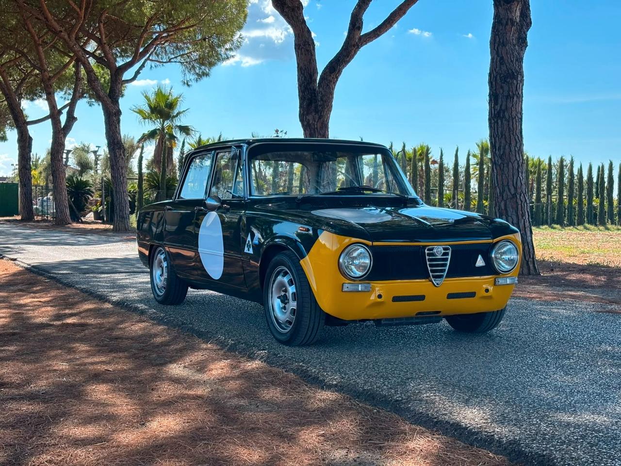 Alfa Romeo Altro giulia 1300 ti