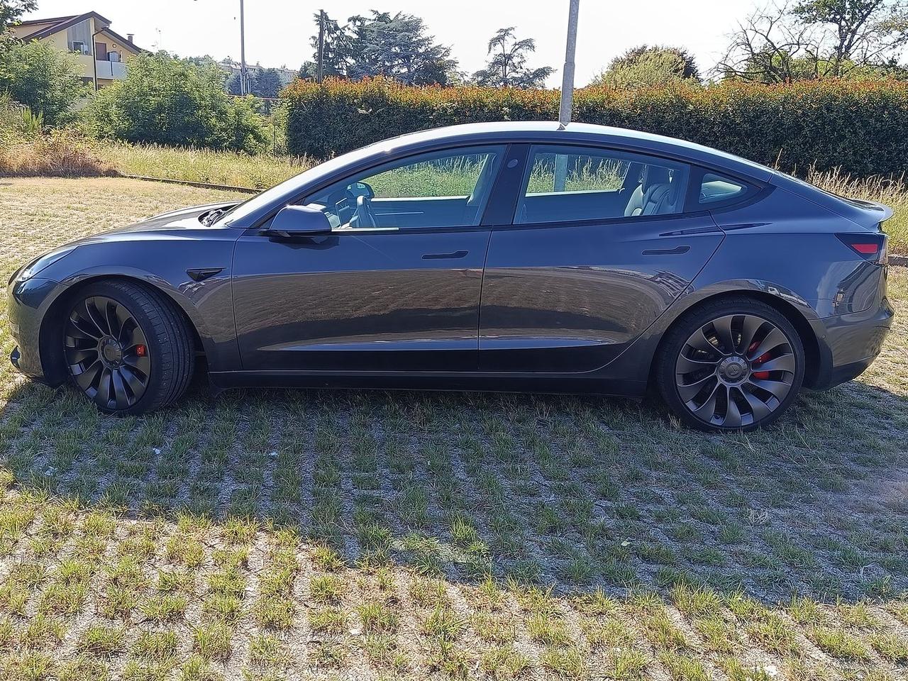 Tesla Model 3 Performance Dual Motor 78.8 kW #7227