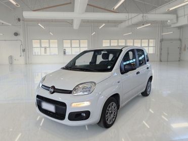 FIAT PANDA 1.2 69 CV SES E6D-TEMP EASY 5 PORTE BERLINA