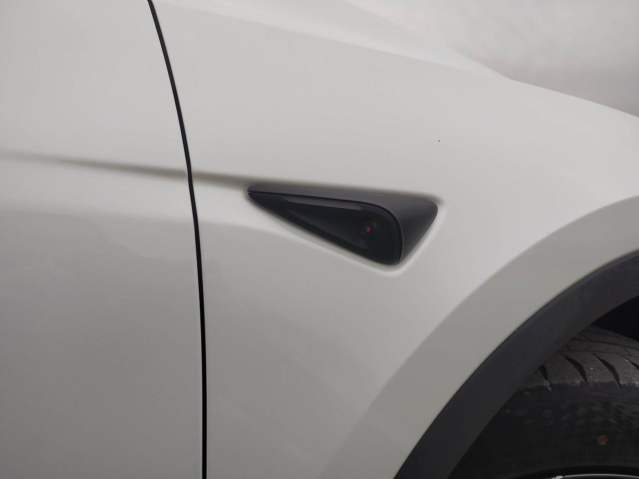 Tesla Model Y Standard Range / Standard #9113