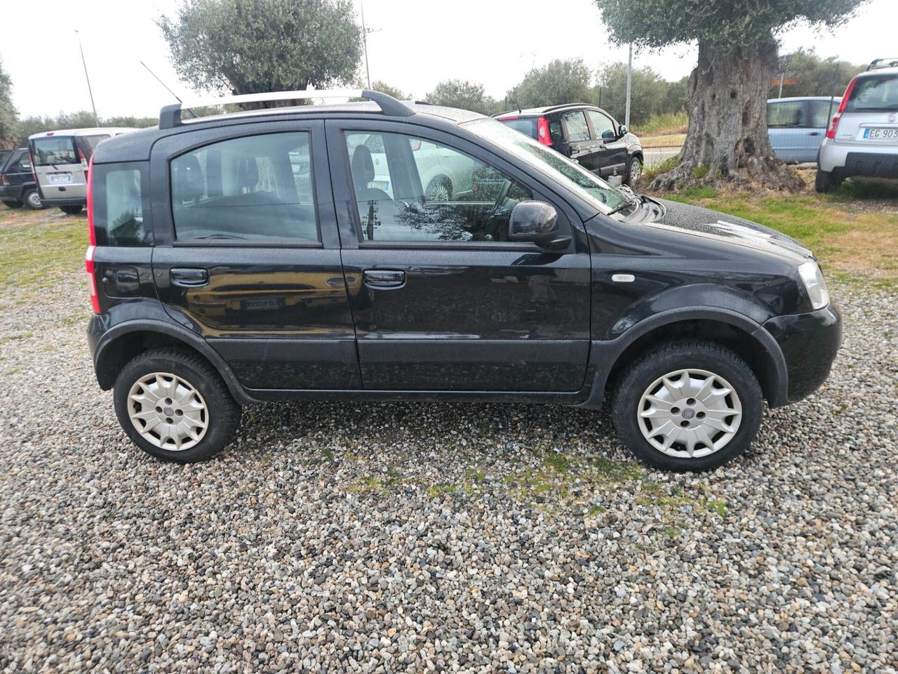 Fiat Panda 1.2 4x4 Climbing