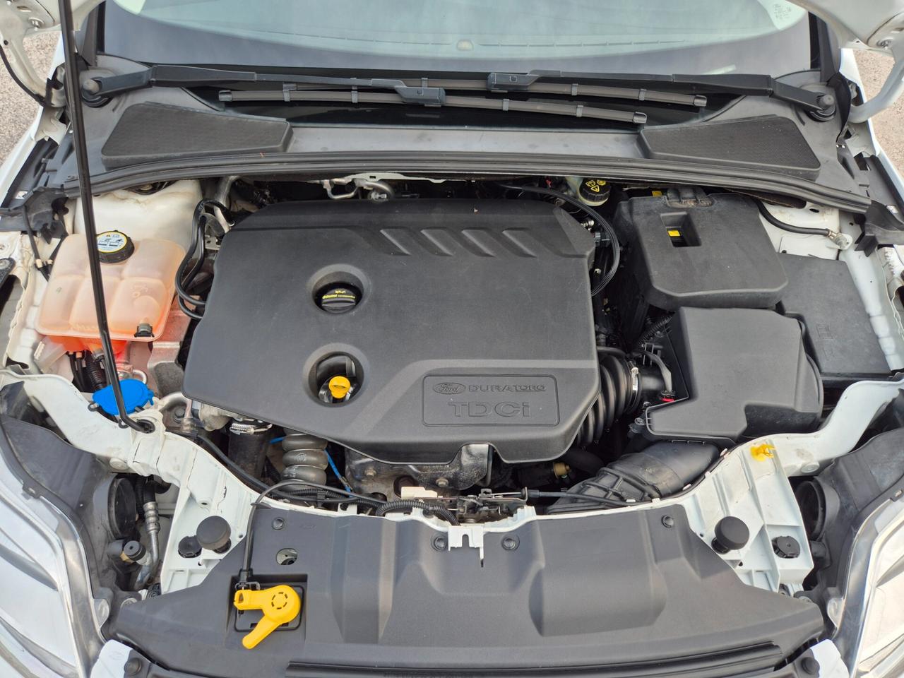 Ford FOCUS 1.6 TDCi 95 CV TITANIUM BERLINA NUOVA FULL 2013
