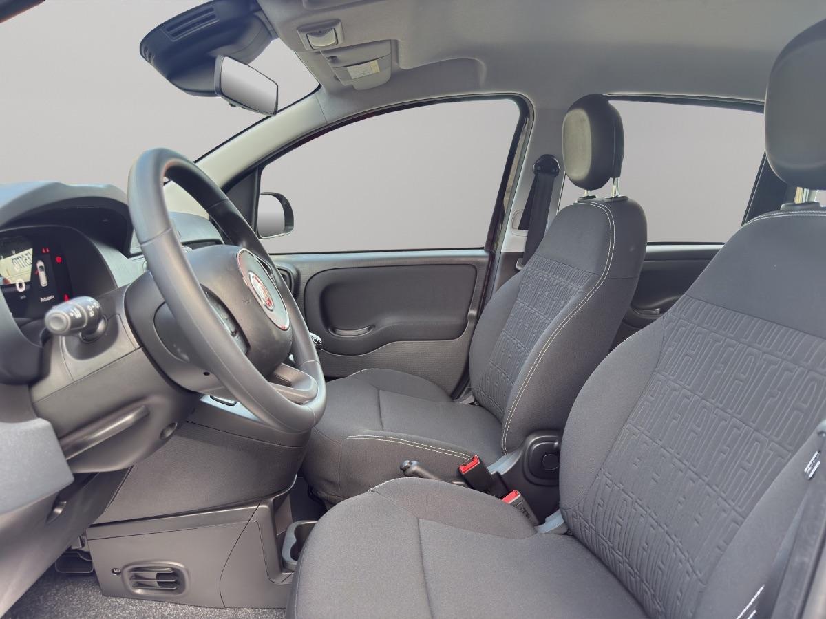 FIAT - Panda Pandina 1.0 firefly hybrid s&s 70cv