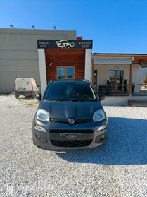 Fiat Panda 1.2 Easy Van 4 posti