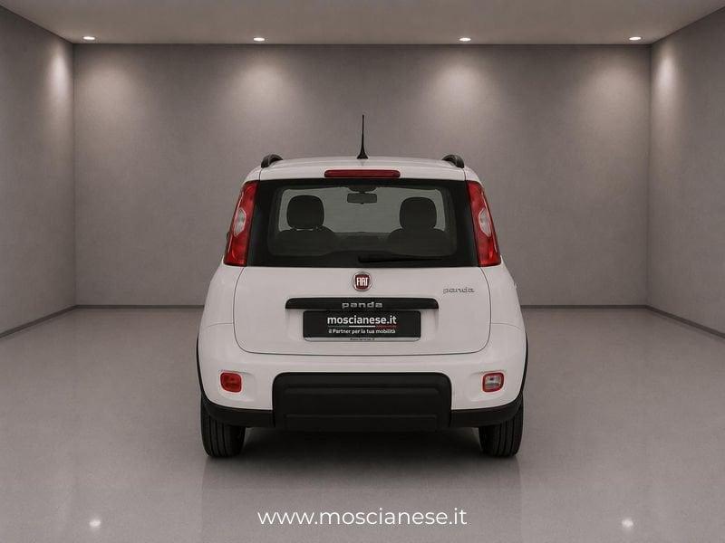 FIAT Panda 1.0 FireFly 70cv S&S Hybrid City Life