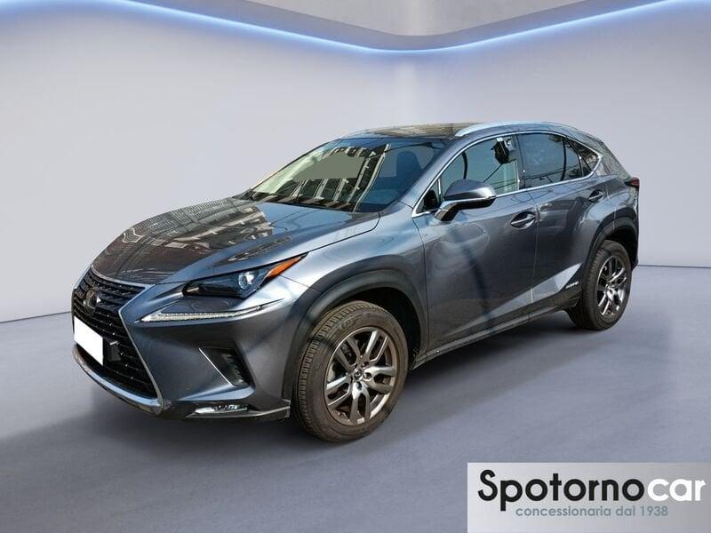 Lexus NX NX Hybrid Business