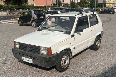 FIAT Panda 1ª serie 1100 i.e. cat Young
