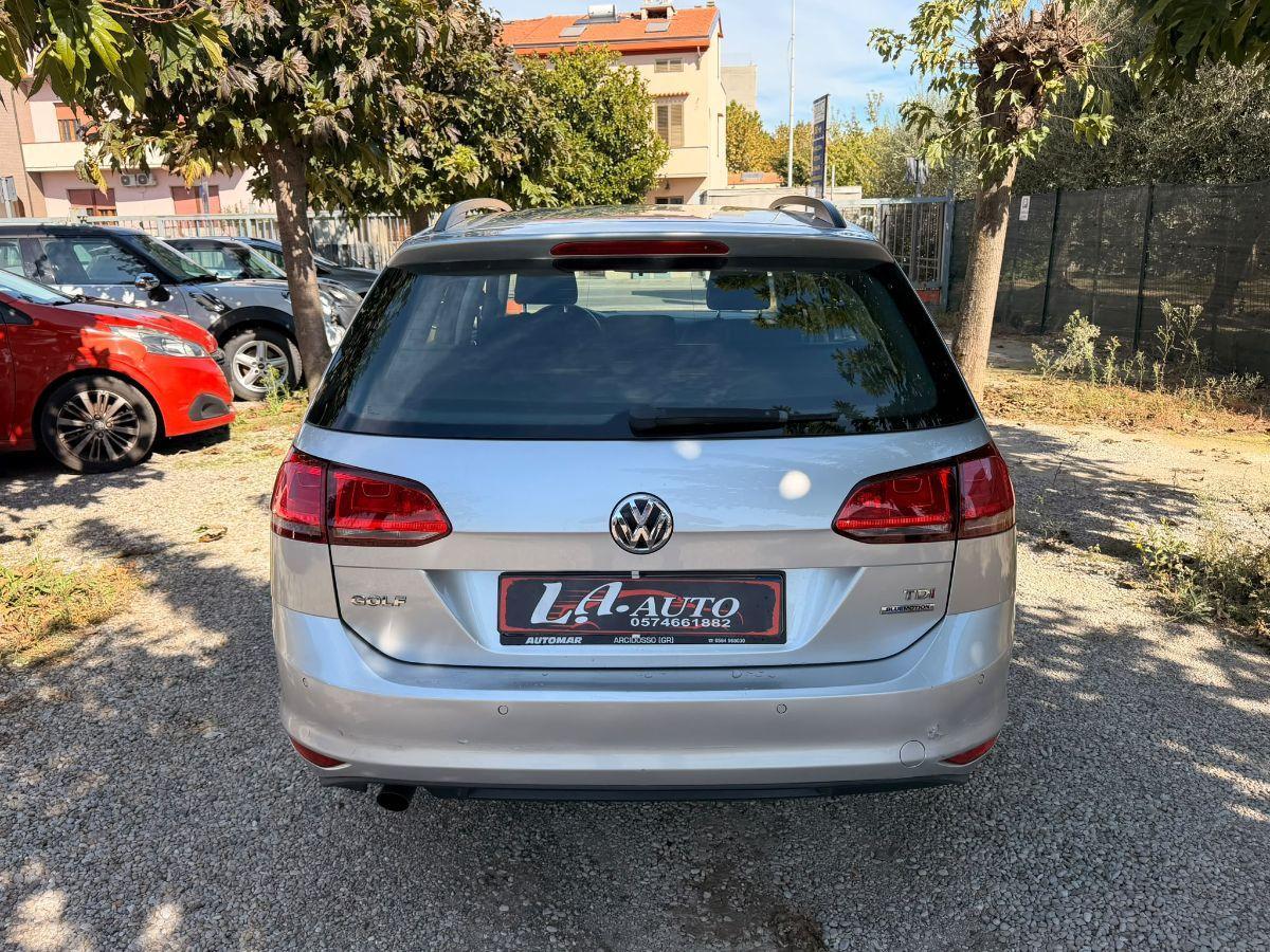 VOLKSWAGEN - Golf Variant - 1.6 TDI 110 CV Business BMT DISTRIBUZIONE FATTA