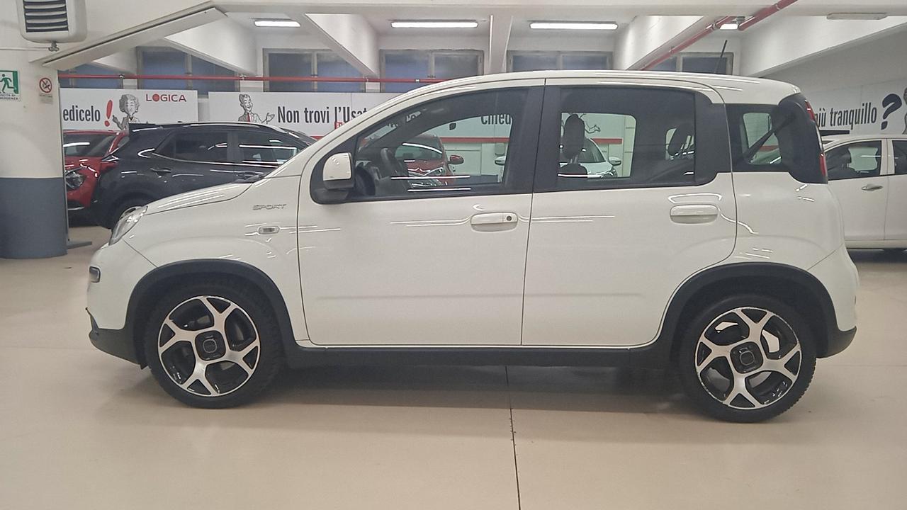FIAT Panda III 2021 - Panda 1.0 firefly hybrid Sport s&s 70cv