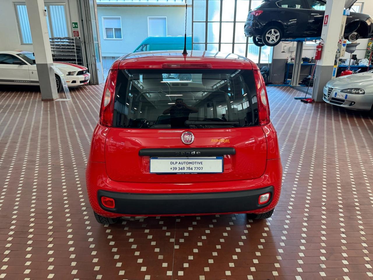 Fiat Panda 1.2 Lounge - UNICO PROPRIETARIO