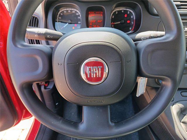 FIAT Panda 3ª serie 1.0 FireFly S&S Hybrid