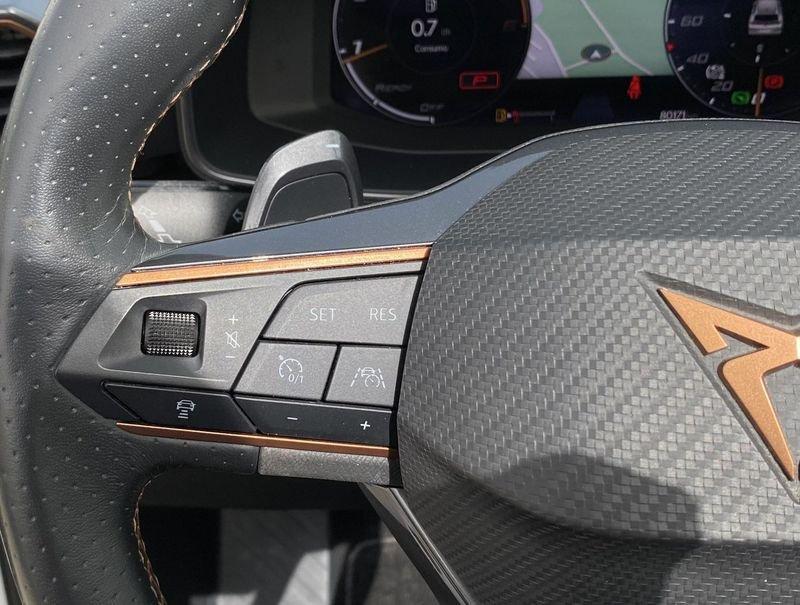 CUPRA Formentor 2.0 TDI 150CV DSG 4DRIVE Tetto