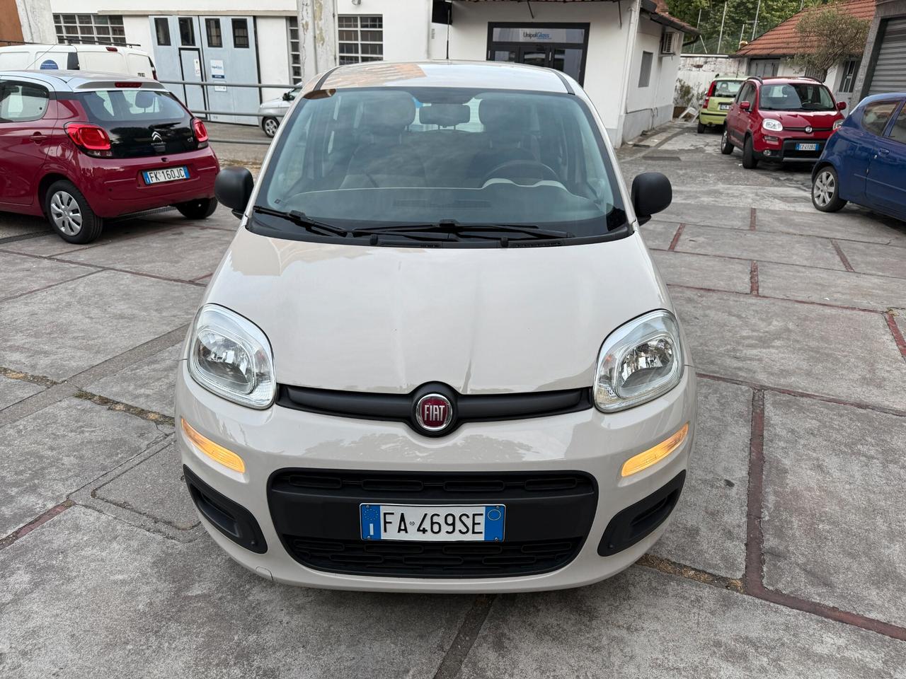 Fiat Panda 1.2 Lounge OK NEOPATENTATI