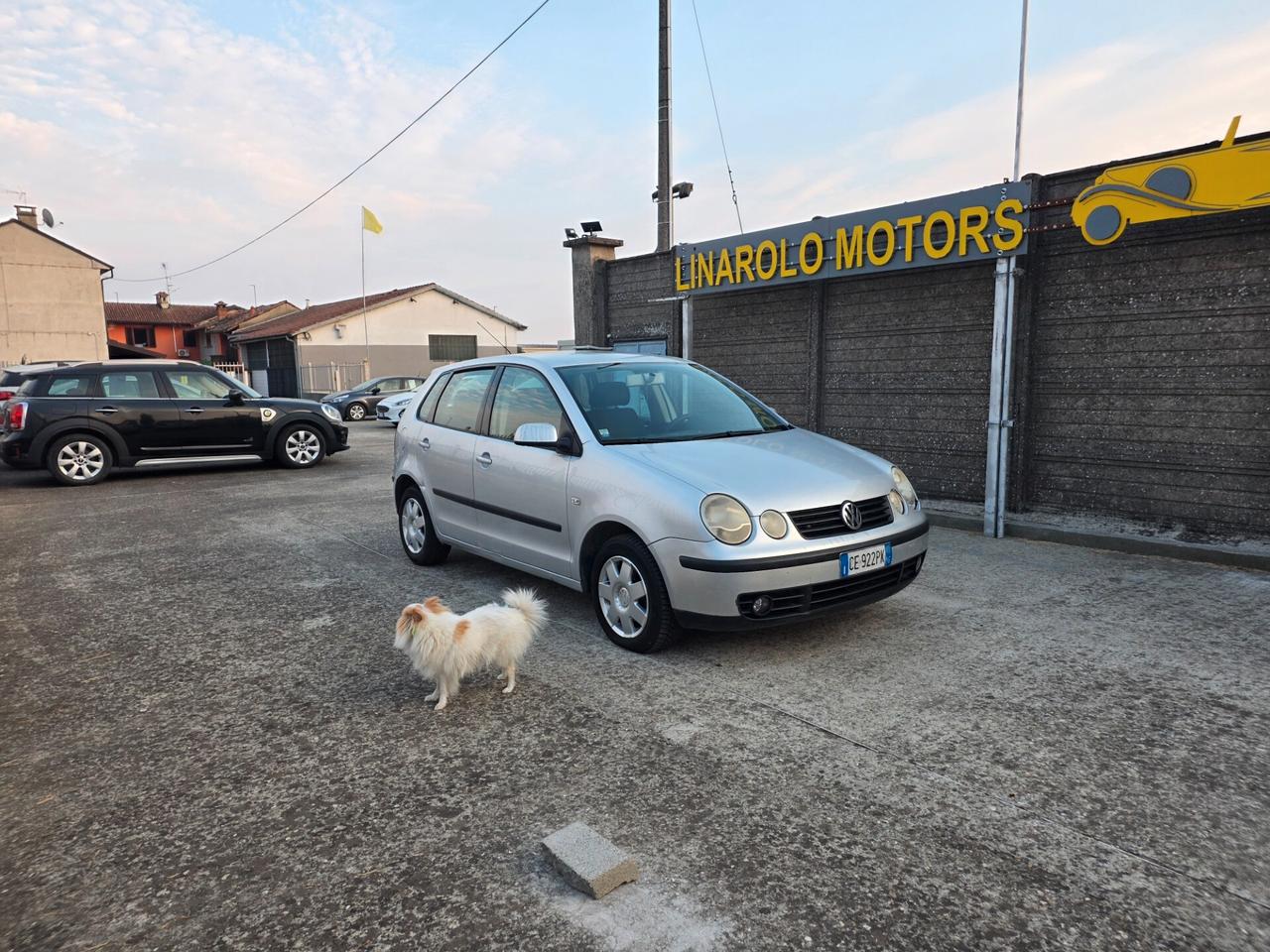 Volkswagen Polo 1.4 TDI 5p. Trendline