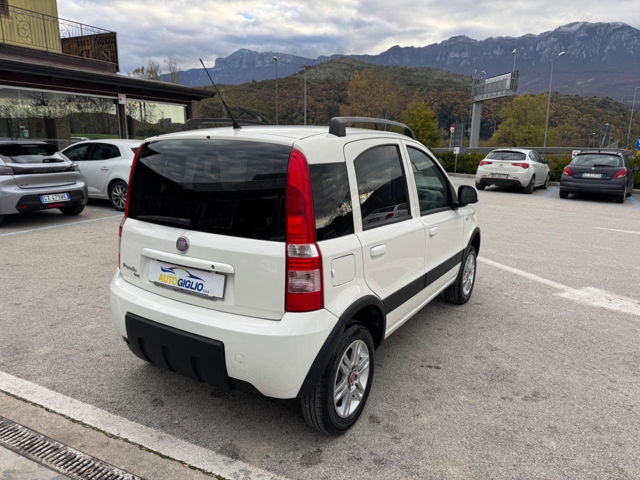 Fiat Panda 1.2 4X4 Dynamic GPL