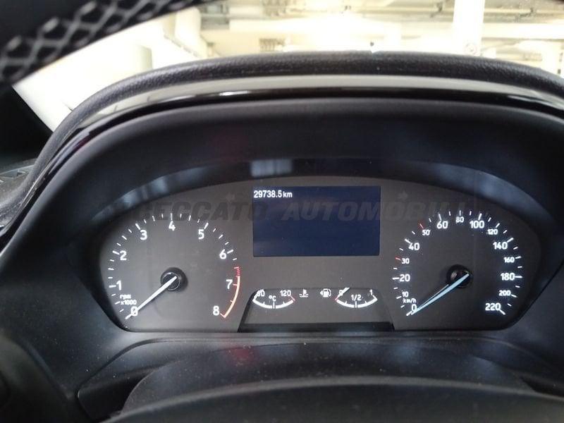 Ford Fiesta VII 2022 5p 5p 1.1 Plus 75cv