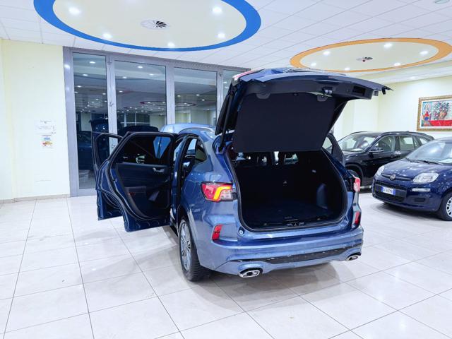 FORD Kuga 2.0 EcoBlue 120 CV aut. 2WD ST-Line