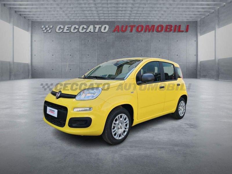 FIAT Panda Panda 1.0 firefly hybrid s&s 70cv