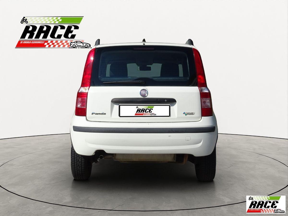 FIAT - Panda - 1.2 Dynamic Mamy