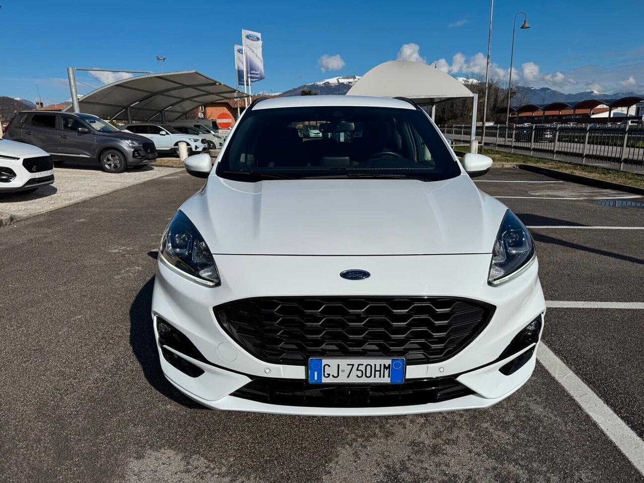 Ford Kuga St-Line 1.5 EcoBlue 120CV Automatica S&S