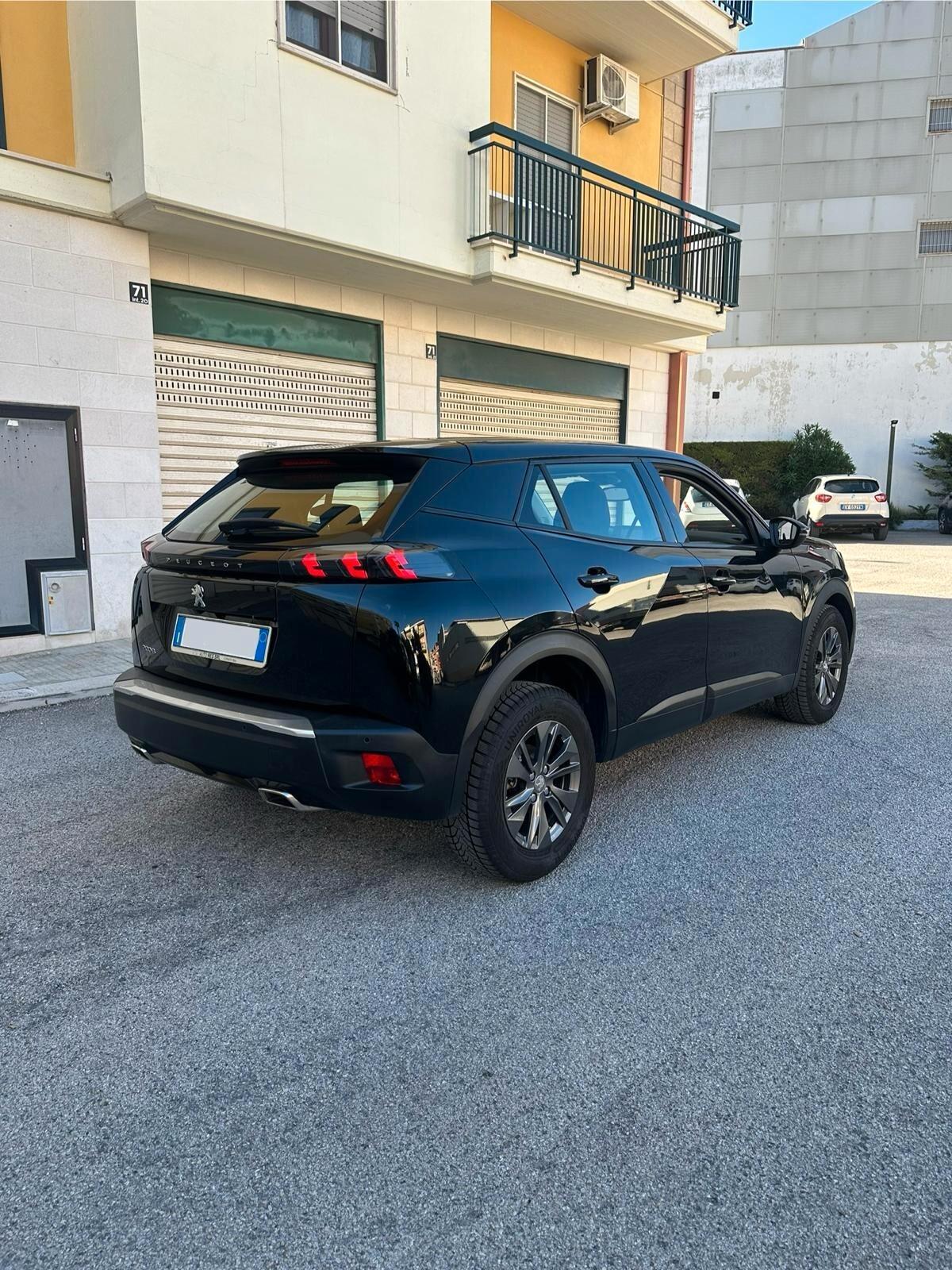 Peugeot 2008 PureTech 100 S&S Active