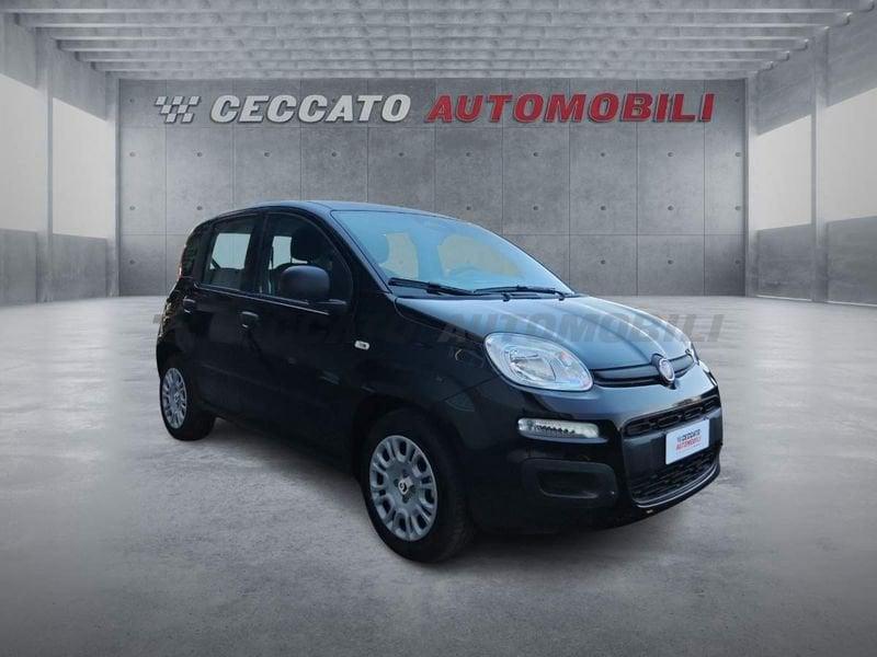FIAT Panda Panda 1.0 70cv Hybrid Icon