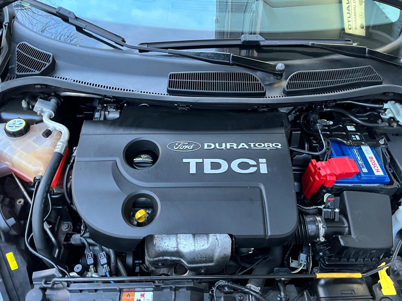 Ford Fiesta 1.5 TDCi 75CV 5 porte Business