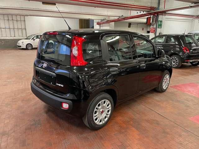 Fiat Panda 1.0 Hybrid 70cv 36 Rate da 177,95