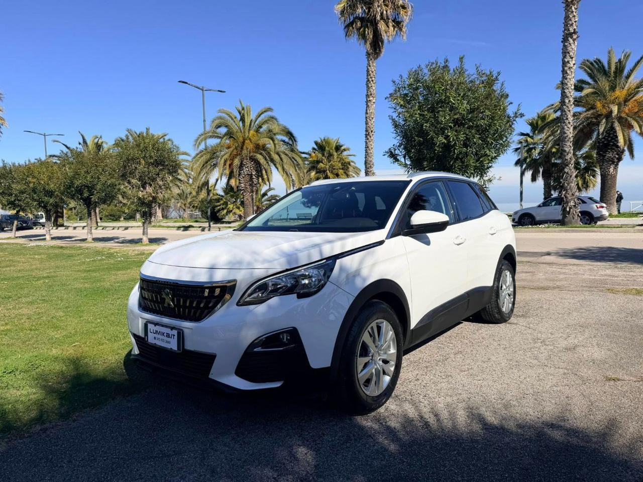 Peugeot 3008 3008 1.6 bluehdi Active s&s 120cv