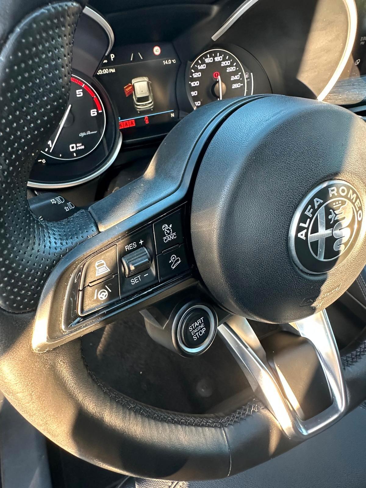 Alfa Romeo Stelvio 2.2 MJT 190 CV Q4 Super2020