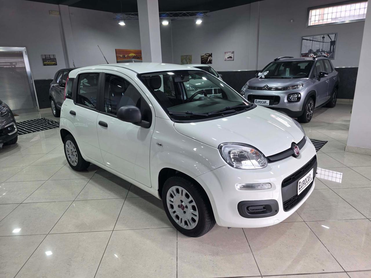 Fiat Panda 1.2 Pop