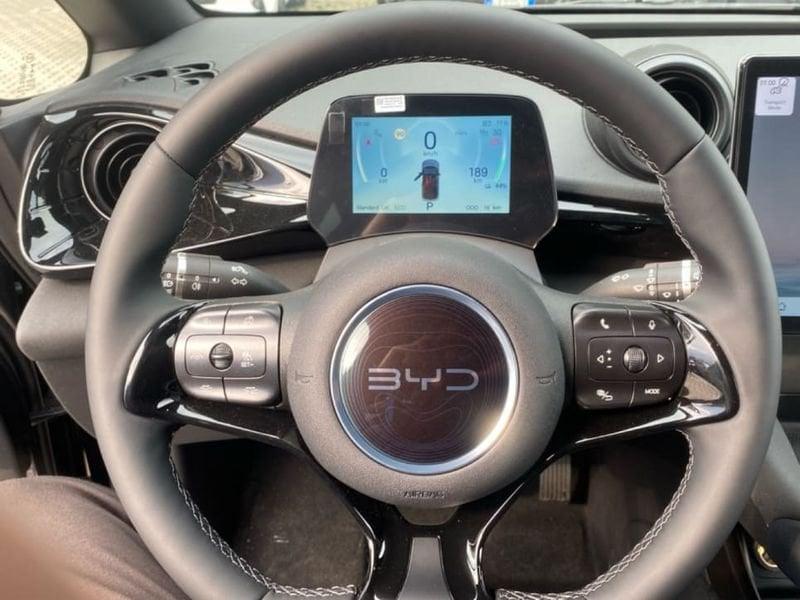 BYD DOLPHIN Design